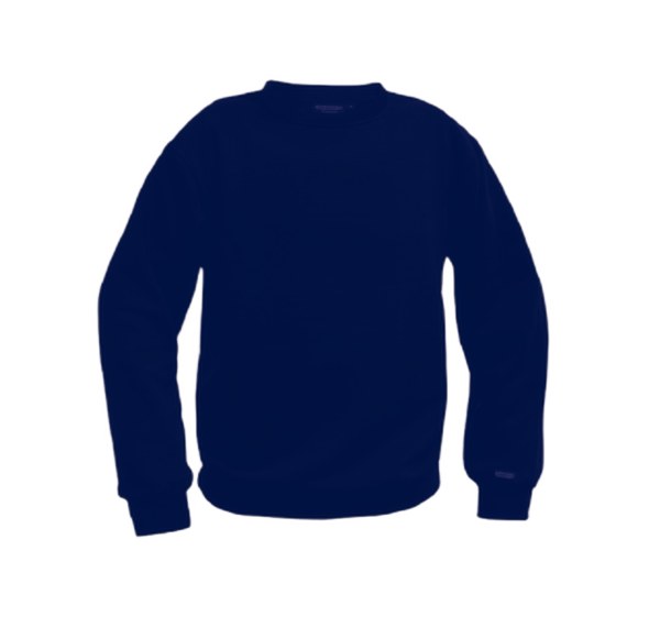 SWEAT SHIRT LIONEL T XS à 4XL 2