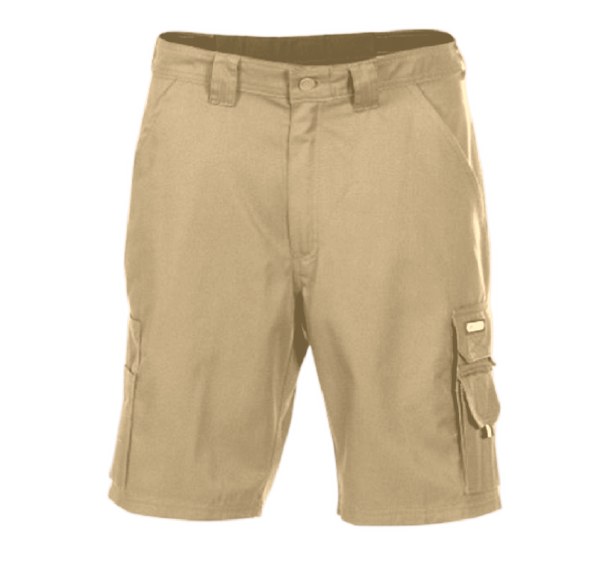 SHORT BARI 36 à 66 6