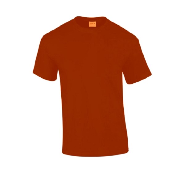 T-SHIRT GI2000 S à 2XL 5