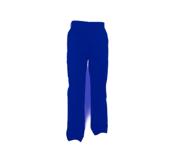 PANTALON GARY 245GR MARINE T 36 à 68 5