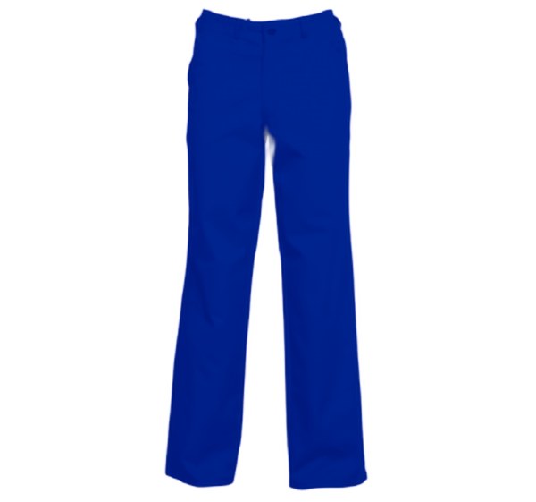 PANTALON 8271 BLEU ROYAL 44 à 64 2